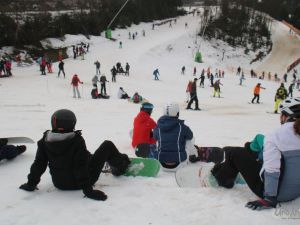 UA180120dagtochtwinterbergl27.JPG